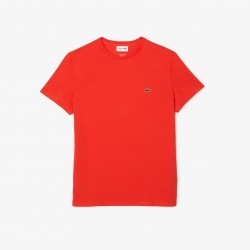 TH6709 Lacoste